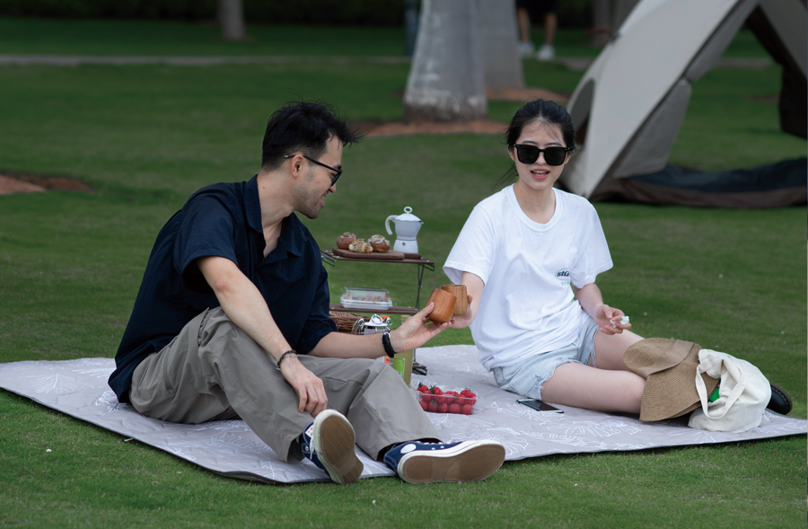 almofada de picnic lixeira